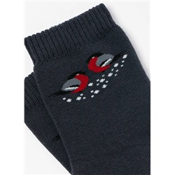 БРЕСТСКИЕ Носки 1408 ARCTIC (махровые)