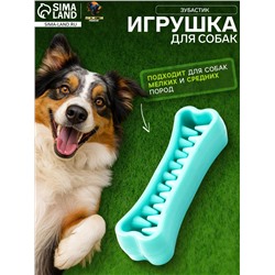 Игрушка-зубочистка для собак Пижон Premium «Зубастик», 12×3.8 см, мятная