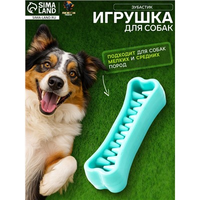 Игрушка-зубочистка для собак Пижон Premium «Зубастик», 12×3.8 см, мятная