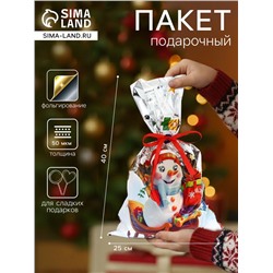 Пакет подарочный «Снеговик на санях» 25×40 см, цветной металлизированный рисунок