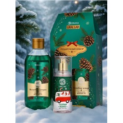 Подарочный набор новогодний «Волшебные истории»: гель для душа 300 мл и мист для тела 88 мл, URAL LAB