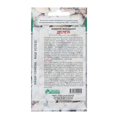 Семена эхеверия пеакоцкого «Десмета», 5 шт.