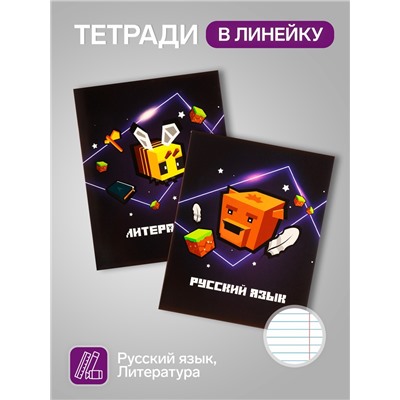 Набор предметных тетрадей А5, 36 листов Сalligrata «Пиксели», 10 предметов