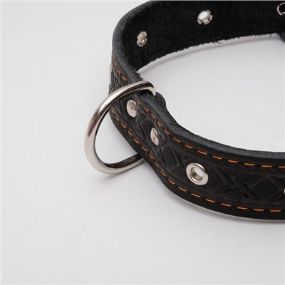 Ошейник кожаный тисненый однослойный, безразмерный, 3×60 см, ОШ 42-55 см, микс цветов