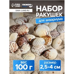 Набор ракушек, 2.5 - 4 см, 100 г
