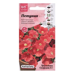 Семена цветов Петуния "Скарлет", 5 шт