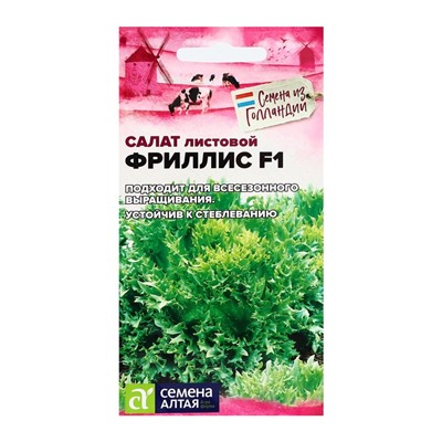 Семена Салат "Фриллис", Seminis, F1, Сем. Алт, ц/п, 0,01 г