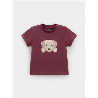 CROCKID Футболка КР 302907