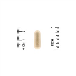 Organic India, шатавари, 90 вегетарианских капсул