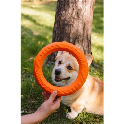 Кольцо «ДогЛайк» D-2612, 8-мигранное, среднее ⌀ 28.5 см