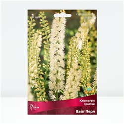 Клопогон простой Вайт Пёрл, р-р I, 1 шт.