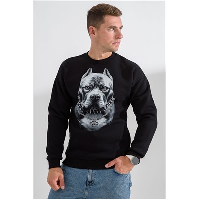 Свитшот 8559 НАТАЛИ, 1191374