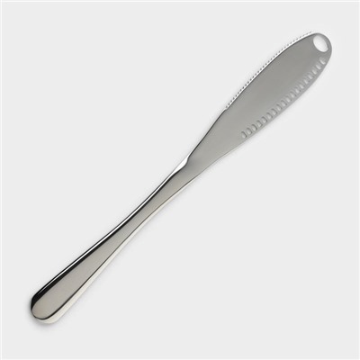 Нож для масла, длина 22 см, нержавеющая сталь, серебристый