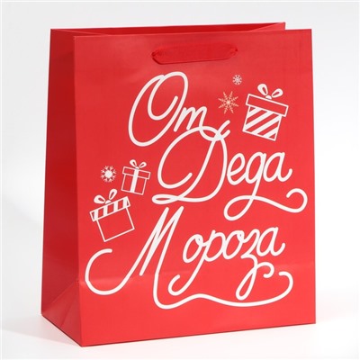 Пакет подарочный новогодний ламинированный «Новогодний подарочек», ML 23×27×11.5 см