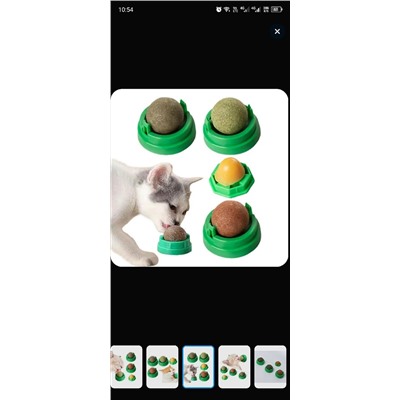 Форма #23342100