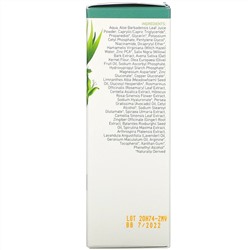 InstaNatural, сыворотка с цинком и витамином C, 30 мл (1 жидк. унция)