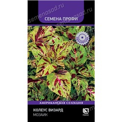 Колеус Визард Мозаик (Код: 93370)