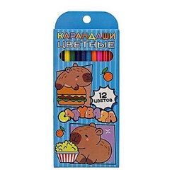 Карандаши пластиковые 12цв "Капибара" 77213 Centrum