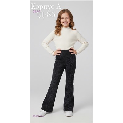 штаны 2058219-4