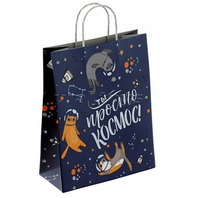 Пакет бумажный "Ты просто космос" 100 г/м2 крученые ручки 450х350х150