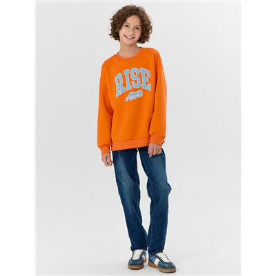 СВИТШОТ ДЛЯ МАЛЬЧИКОВ 123447