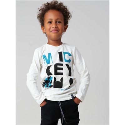 Фуфайка трикотажная для мальчиков (футболка с длинными рукавами)