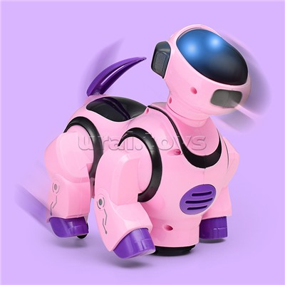 Собака "Зажигательный танец" в коробке