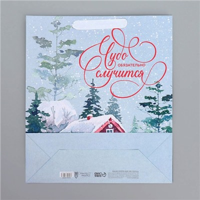 Пакет подарочный новогодний крафтовый «Чудеса случаются», M 26×30×9 см