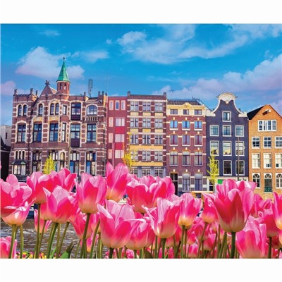 Алмазная мозаика с частичным заполнением на подрамнике «Дома с тюльпанами», 50×60 см