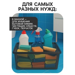 Ящик пластиковый для хранения, с крышкой, объём — 16 л, прозрачно-чёрный
