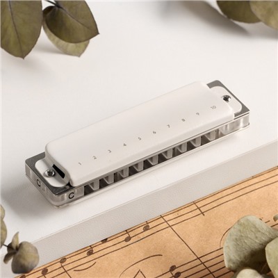 Губная гармошка Music Life T008L C диатоническая, 10 отверстий, с футляром