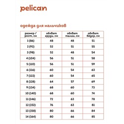 BUVD3339 (Майка для мальчика, Pelican )