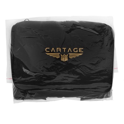 Термосумка Cartage Т-16, синяя, 10 л, 26×19×19 см
