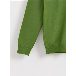 Джемперы ESLI Джемпер для мальчиков 16С-32СП