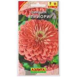 Цинния Априори (Код: 6711)