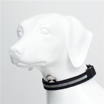 Ошейник, размер XL, ОШ 52-60×2.5 см, с подсветкой, 3 режима свечения, чёрный