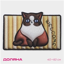 Коврик придверный Доляна «Котик», ПВХ, 40×60 см