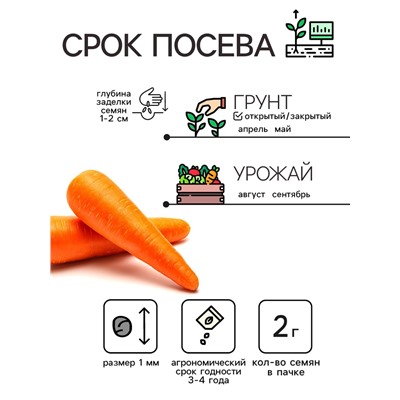 Семена Морковь "Нантская 4", 2 г