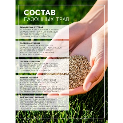Газонная травосмесь «Спортивный» 1 кг