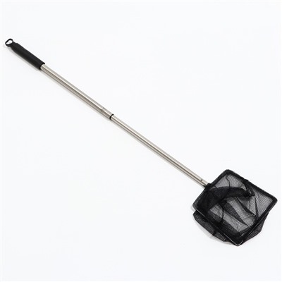 Сачок аквариумный, 20×20 см, телескопический, длина до 100 см