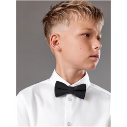 Acoola Бабочка 20106460109