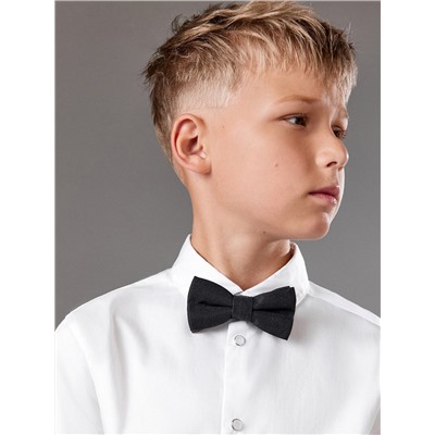 Acoola Бабочка 20106460109