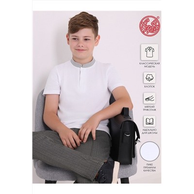 Поло АПРЕЛЬ, 1087253