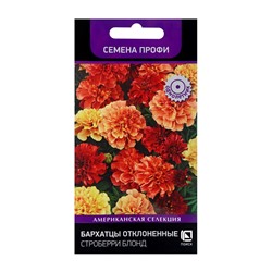 Семена цветов Бархатцы отклоненные Строберри Блонд, 10шт
