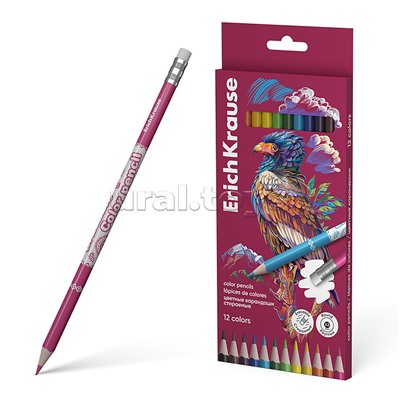 Карандаши цветные деревянные Safari круглые стираемые с ластиком, грифель 3,3 мм, 12 цветов