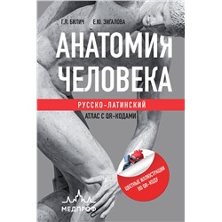 Эксмо Габриэль Лазаревич Билич, Елена Юрьевна Зигалова "Анатомия человека: Русско-латинский атлас с QR-кодами на цветные изображения"
