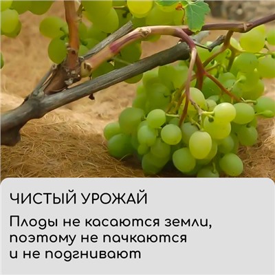 Круг приствольный, d=0.75 м, из кокосового полотна, набор 5 шт., «Мульчаграм»