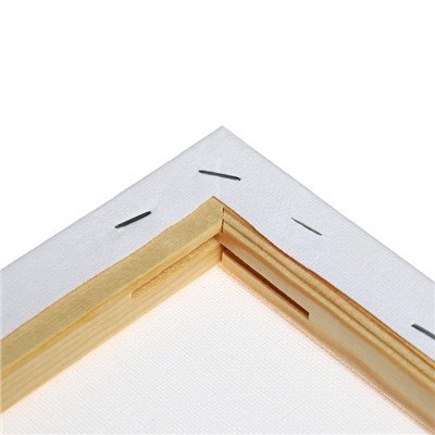 Холст на подрамнике хлопок 100% акрил грунт 1.6×30×60 см м/з 280 г/м²