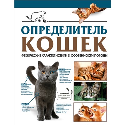 АСТ Смирнов Д.С., Спектор А.А. "Определитель кошек. Физические характеристики и особенности породы"