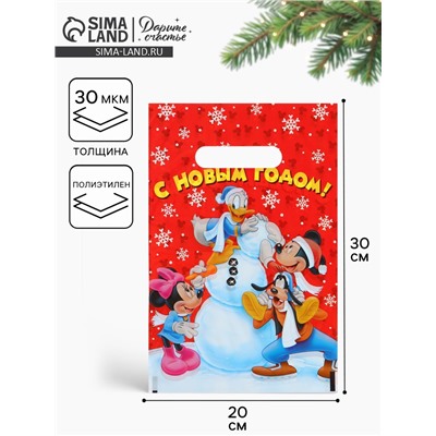 Пакет подарочный, полиэтилен, «С Новым годом», 20×30 см